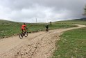 IMG_2731