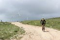 IMG_2764