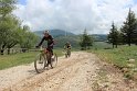 IMG_2768