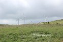 IMG_2770