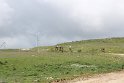 IMG_2781