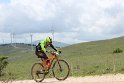 IMG_2801