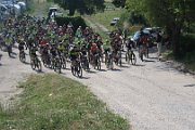 IMG_0176