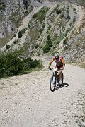 IMG_0240