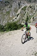 IMG_0241