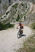 IMG_0246